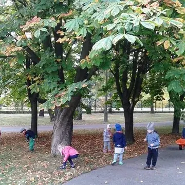 Dzieci na spacerze wśród drzew w ogrodzie przedszkolnym