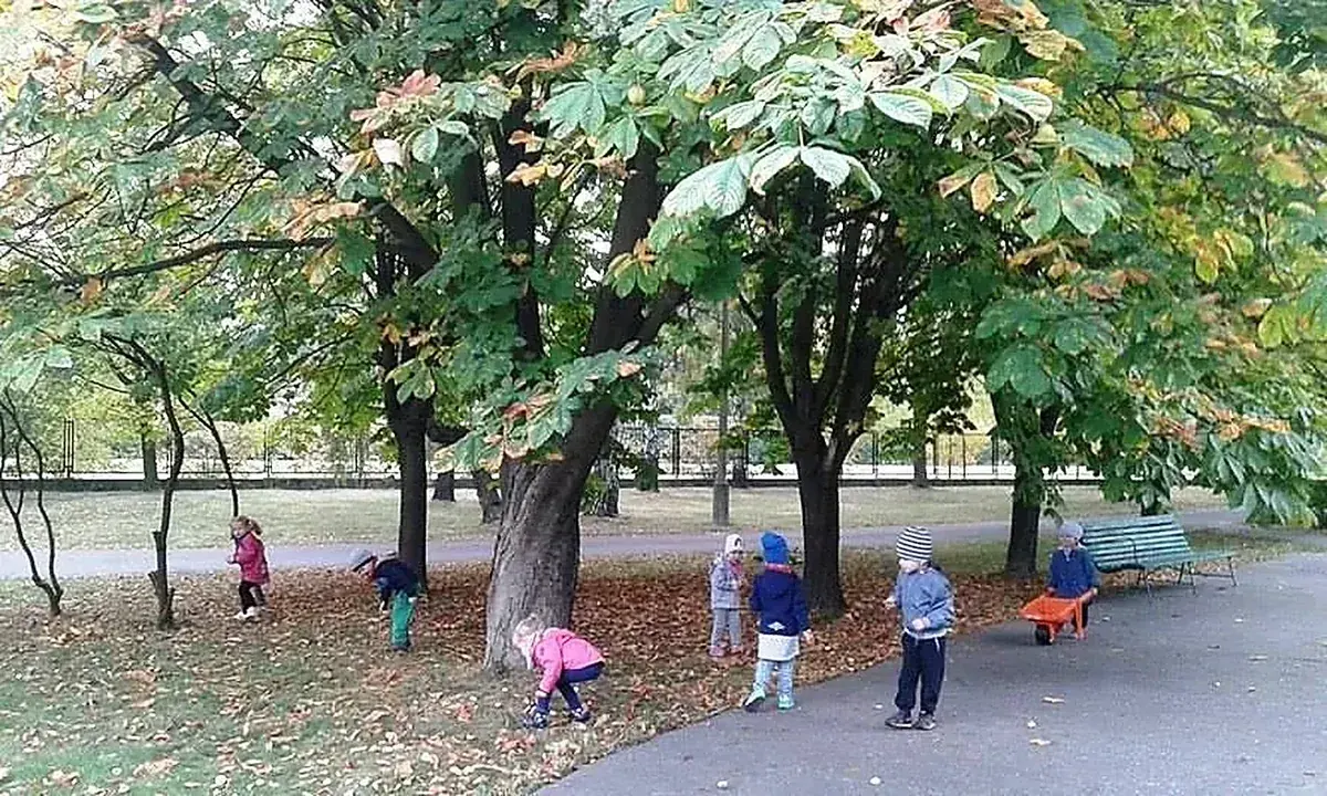 Drzewa i zieleń w ogrodzie przedszkolnym